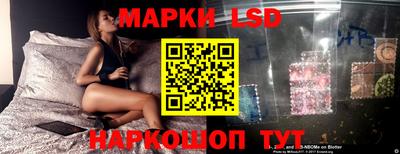 гашик Железногорск