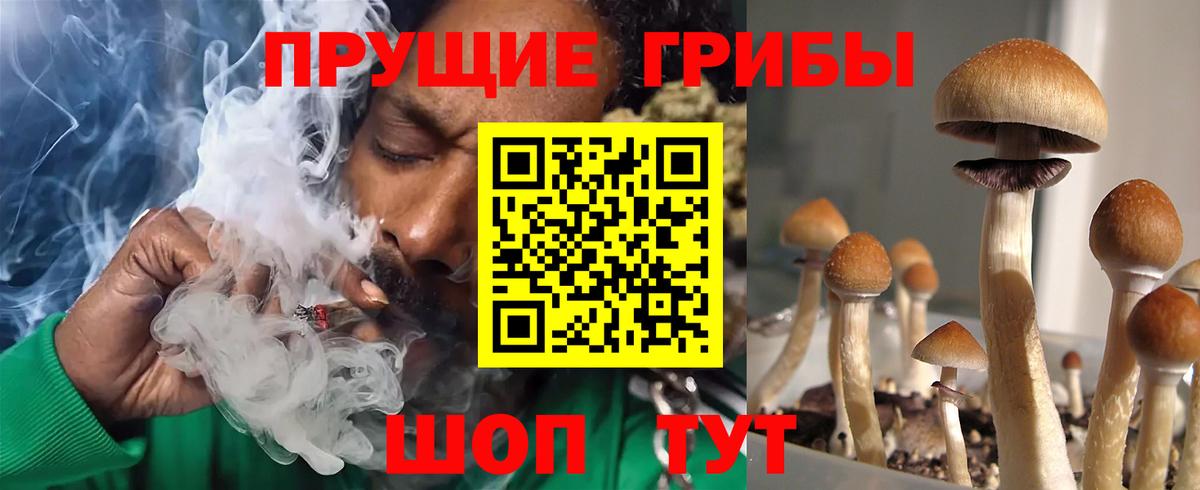 Барнаул  Псилоцибиновые грибы мухоморы  Вход с VPN  Галлюциногенные грибы прущие грибы 